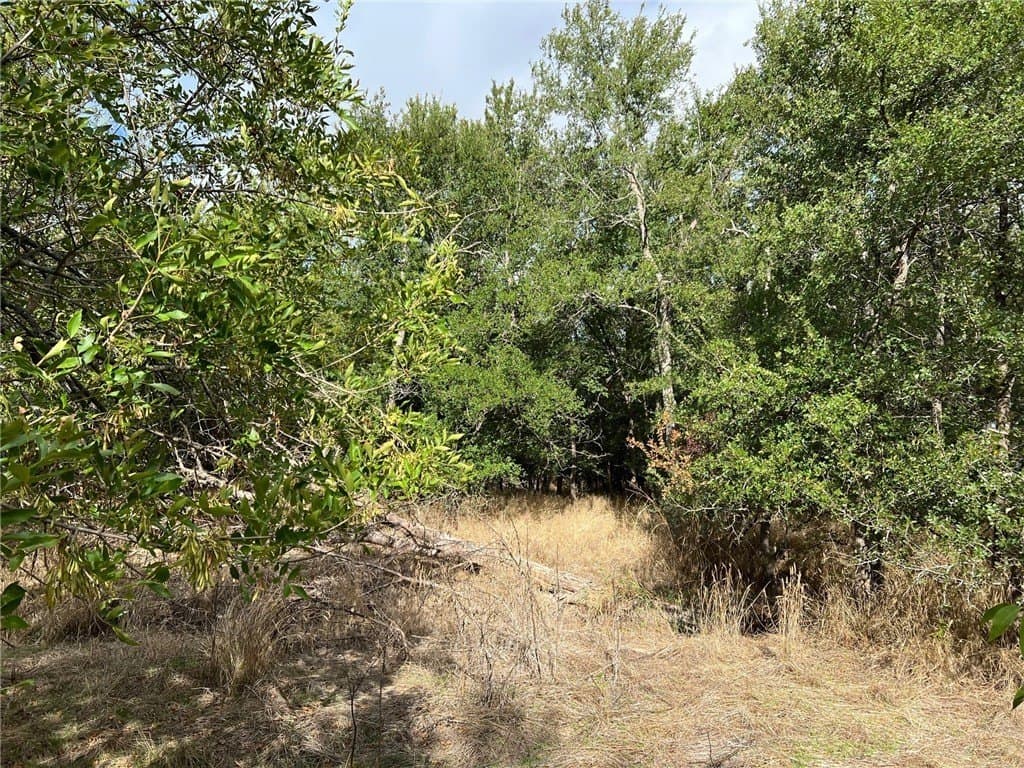 99 acres in Bell County - photo 19