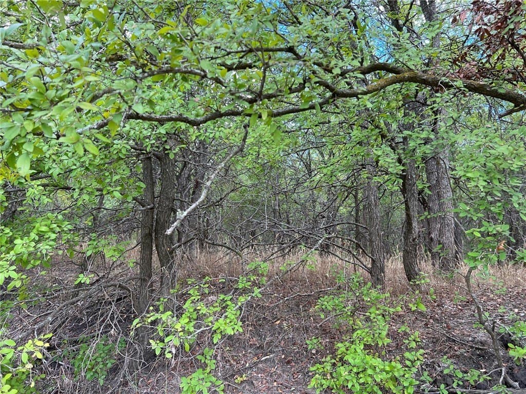 99 acres in Bell County - photo 18