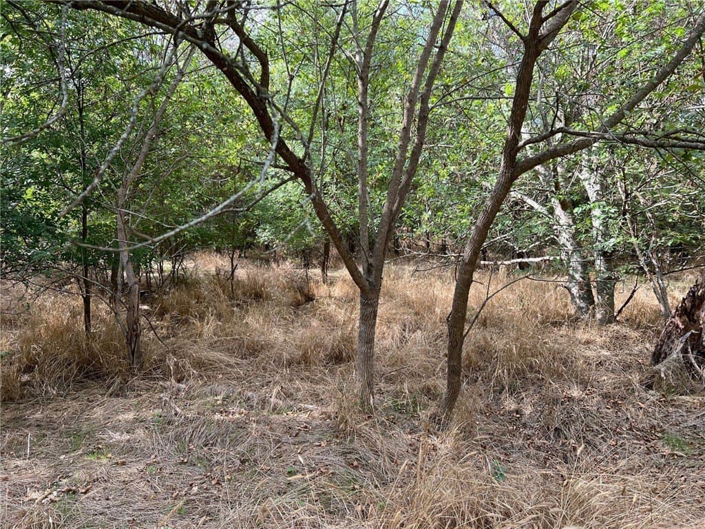 99 acres in Bell County - photo 20