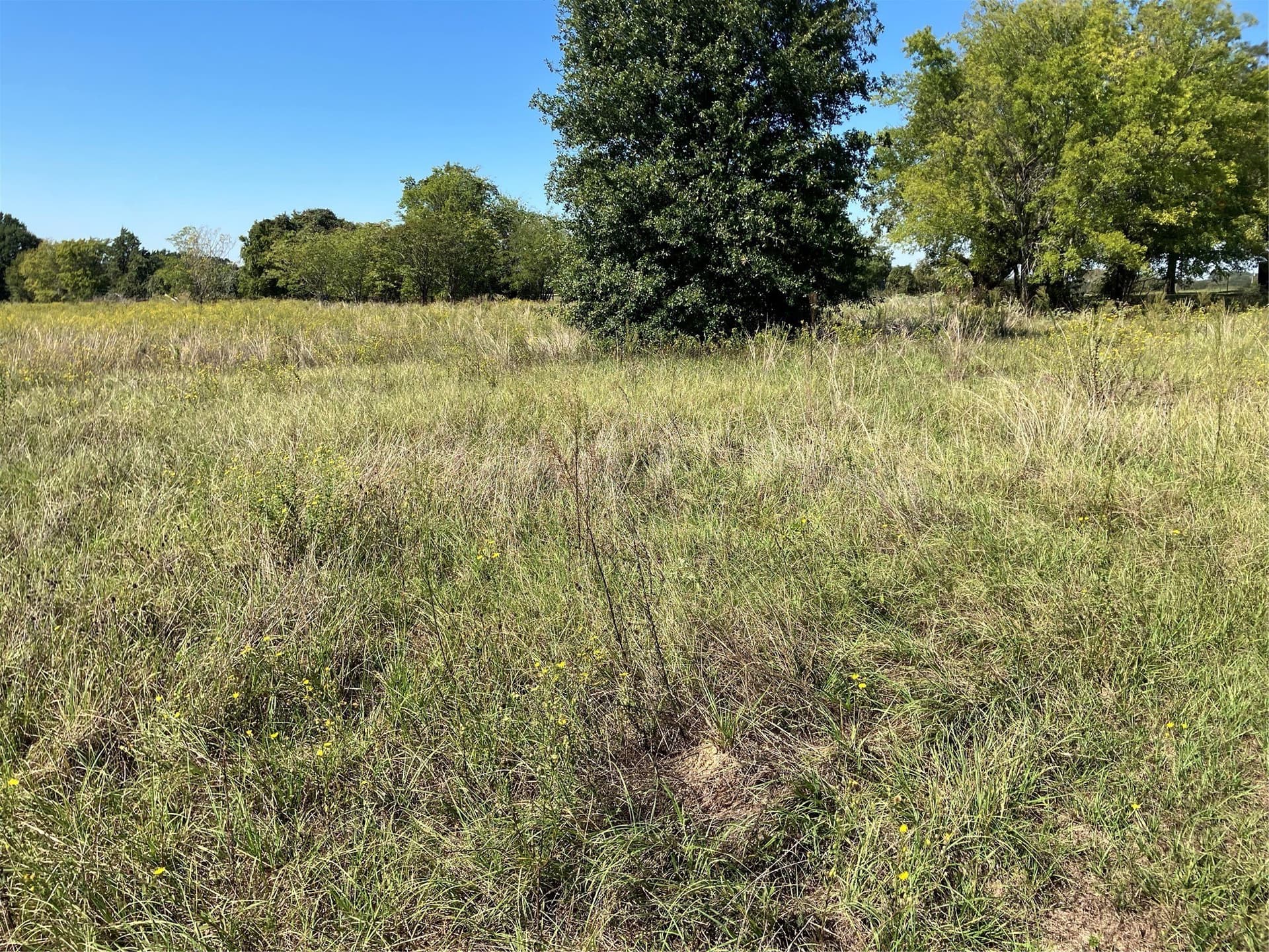 5 acres in Van Zandt County - photo 9