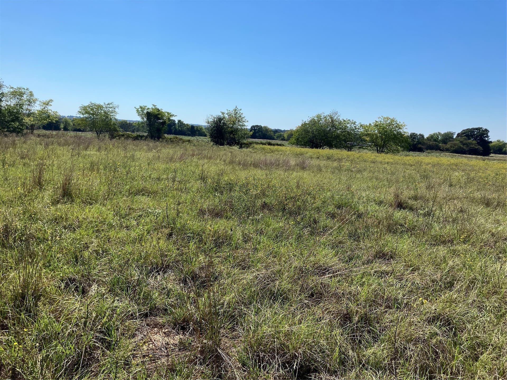 5 acres in Van Zandt County - photo 8