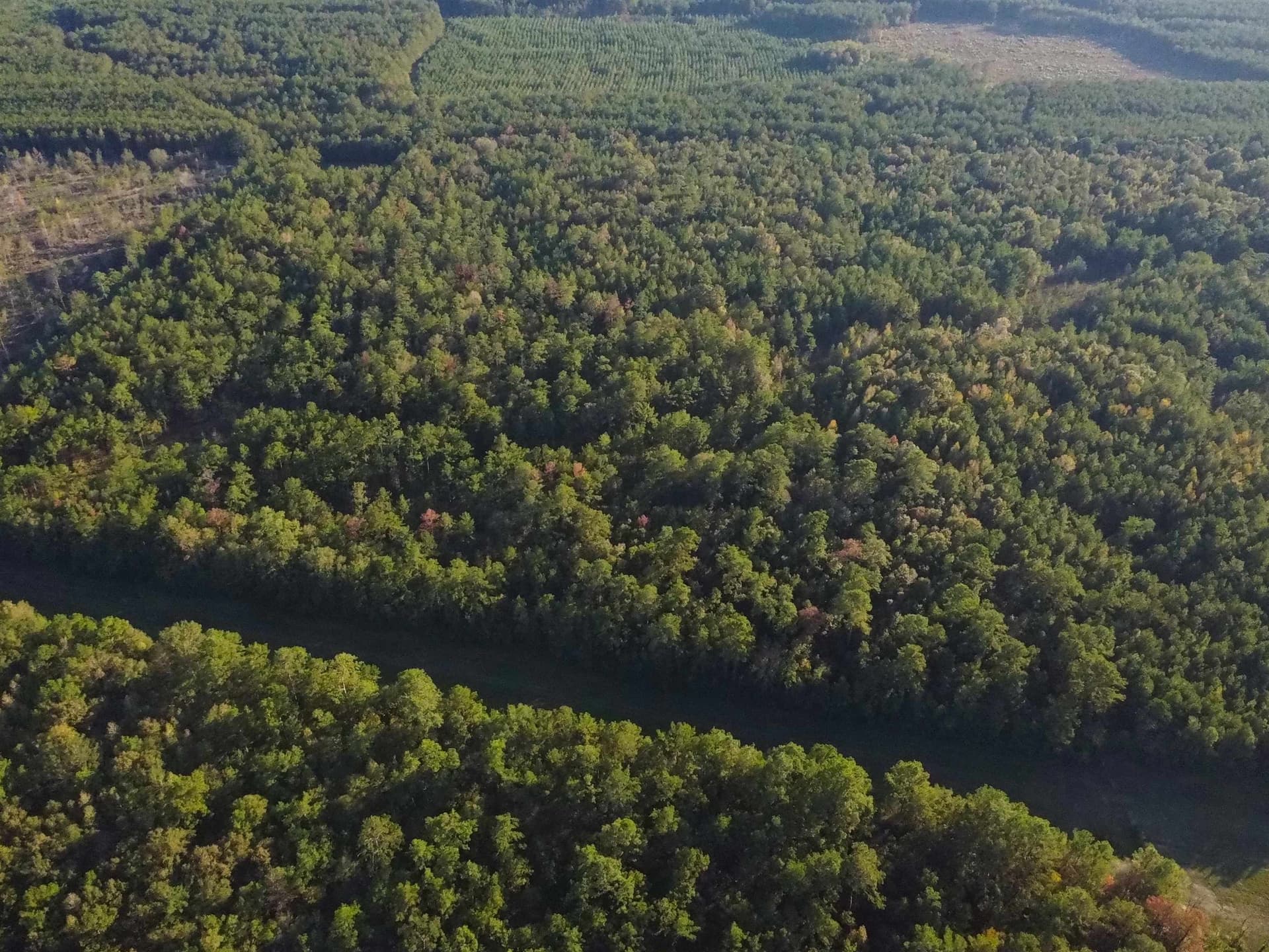 29.41 acres in Texas County - photo 6