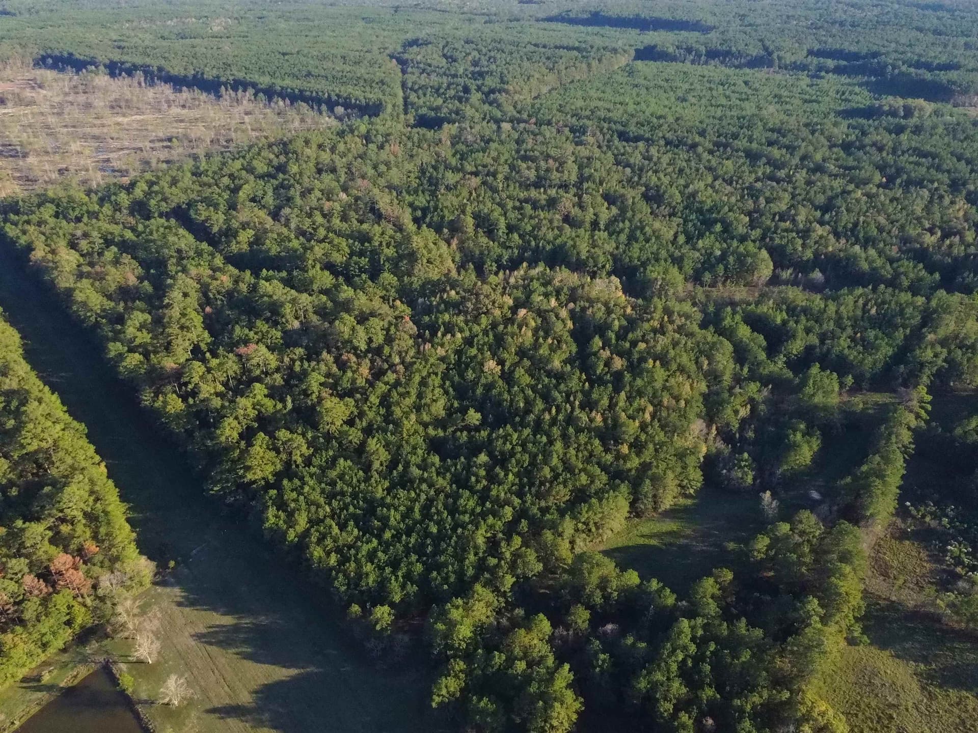 29.41 acres in Texas County - photo 10