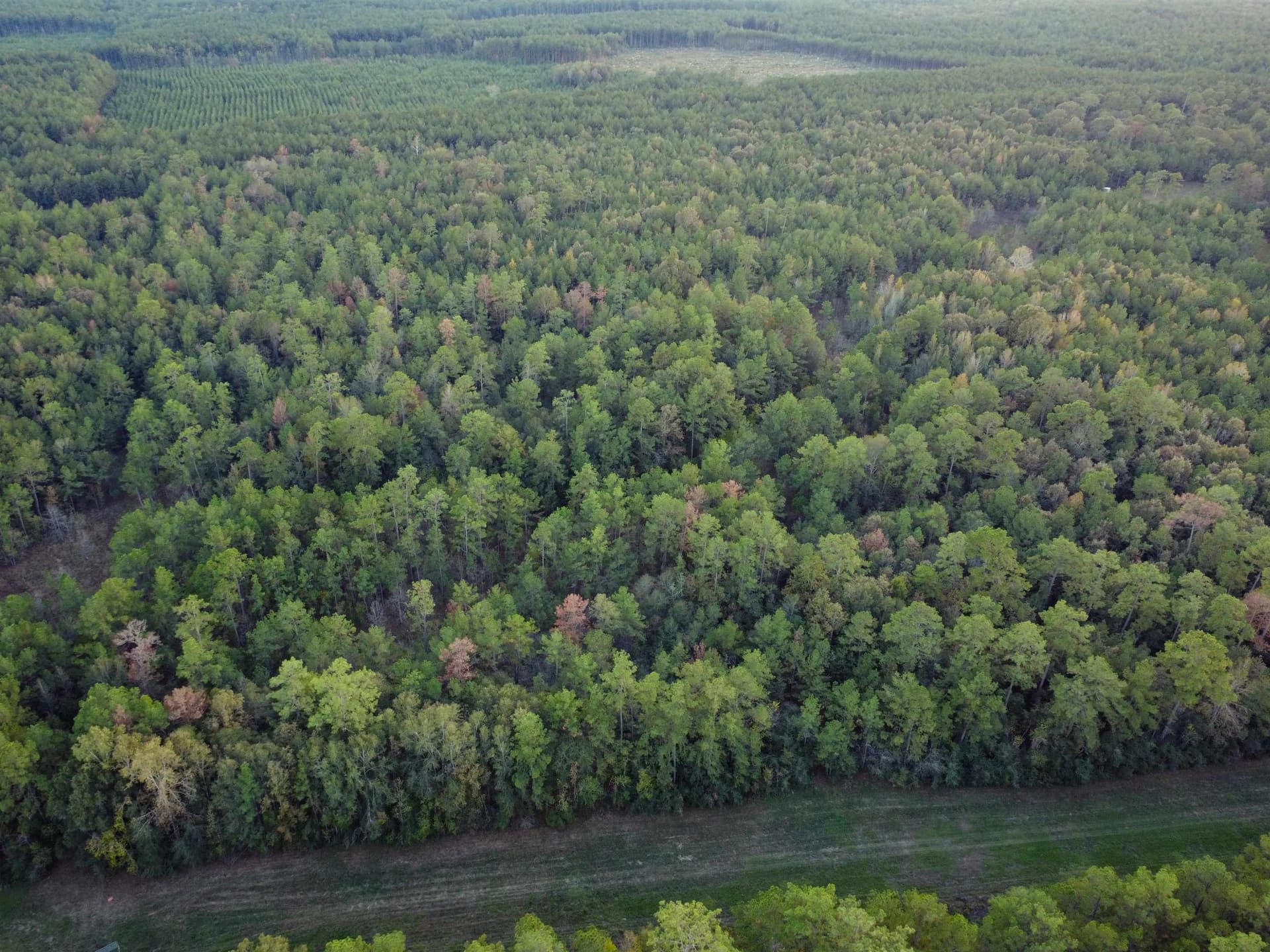 29.41 acres in Texas County - photo 12