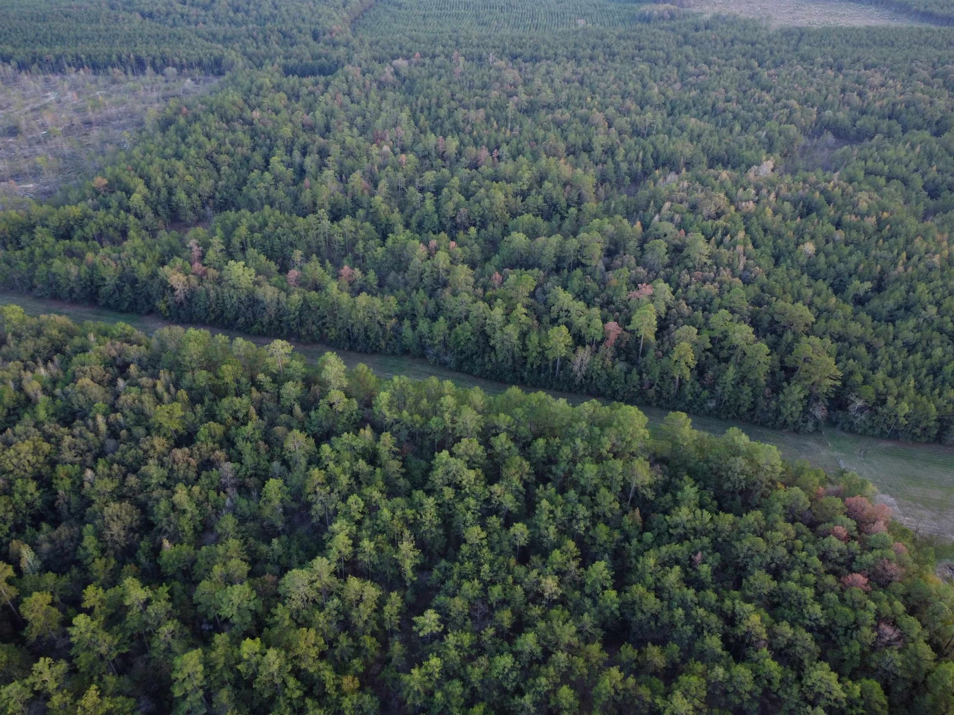 29.41 acres in Texas County - photo 11