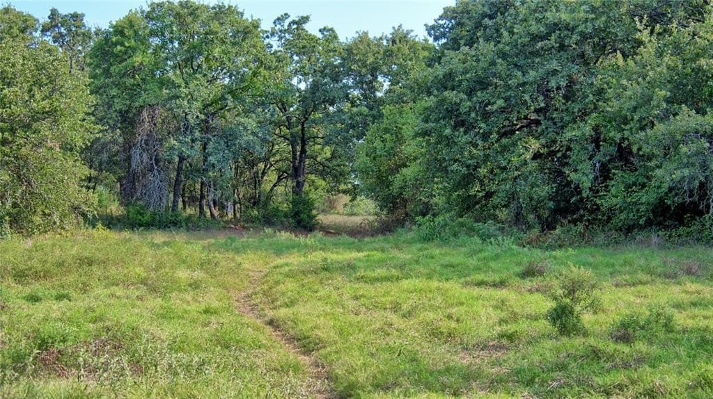20 acres in Montague County featured view