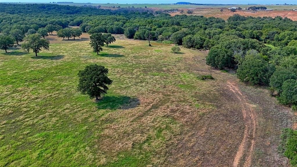 20 acres in Montague County gallery image 2