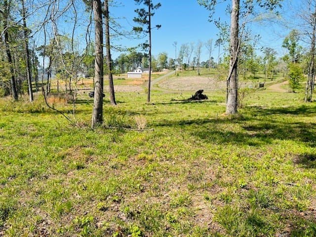 3.65 acres in Texas County - photo 6
