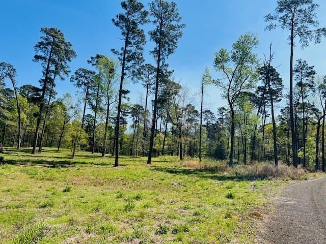3.65 acres in Texas County gallery image 3