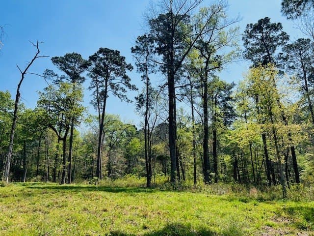 3.65 acres in Texas County gallery image 2