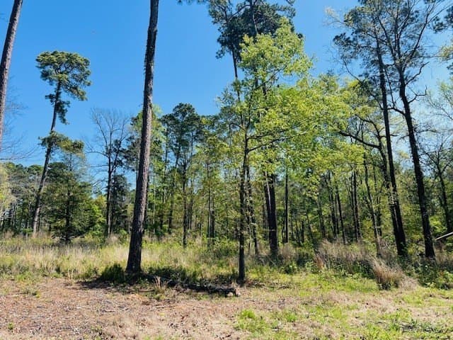 3.65 acres in Texas County gallery image 4
