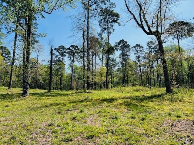 3.65 acres in Texas County featured view