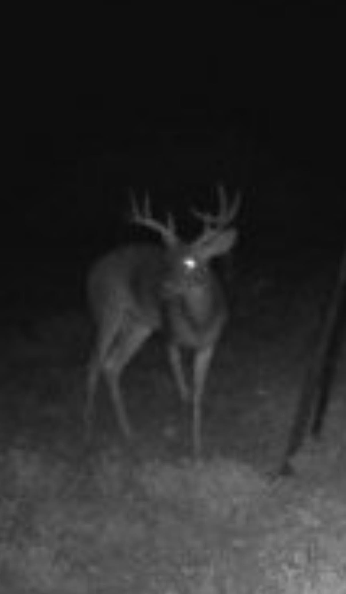 91.34 acres in Val Verde County