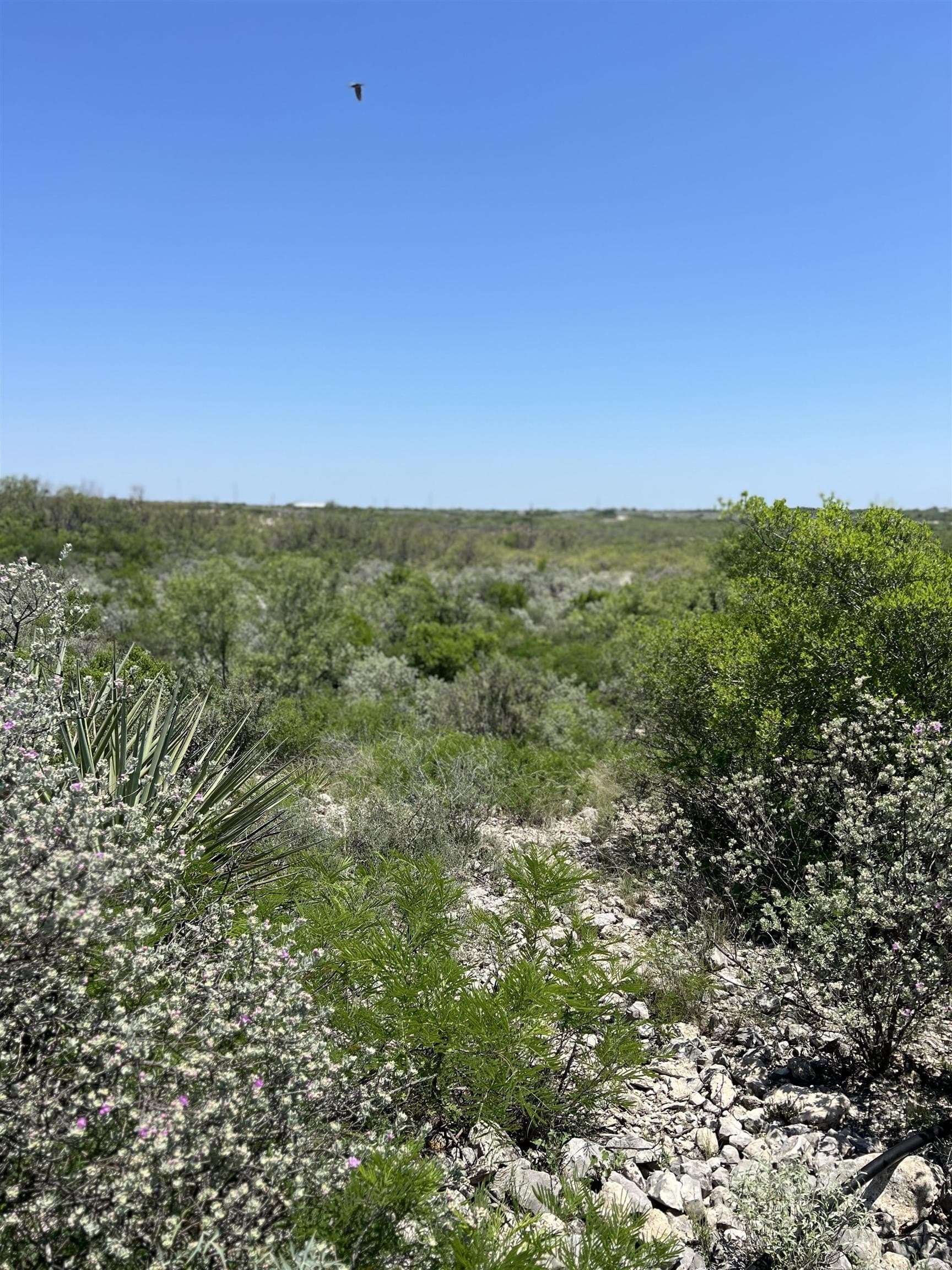 91.34 acres in Val Verde County gallery image 4