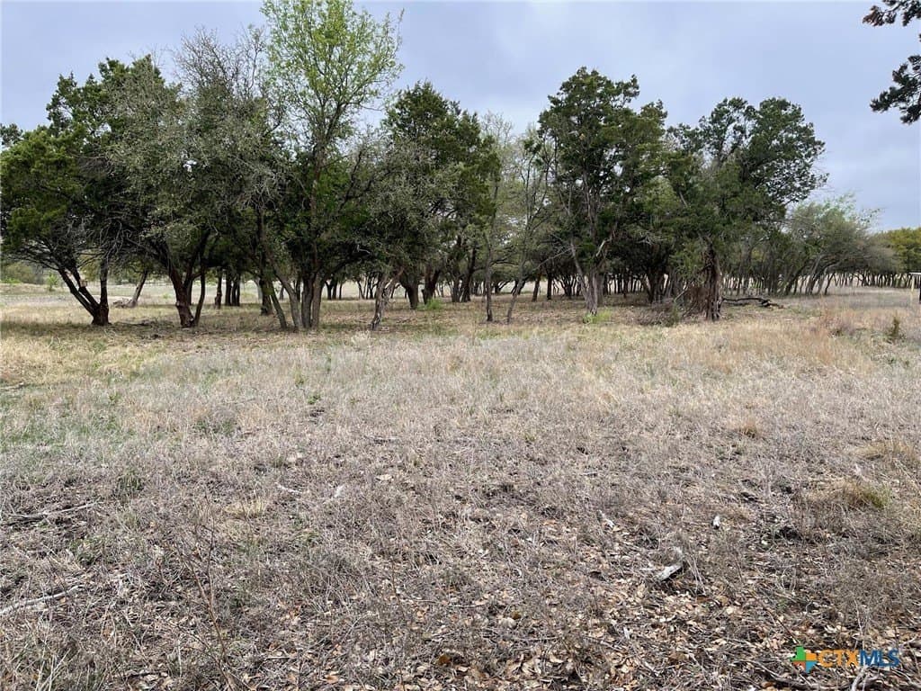 10.02 acres in Coryell County - photo 8