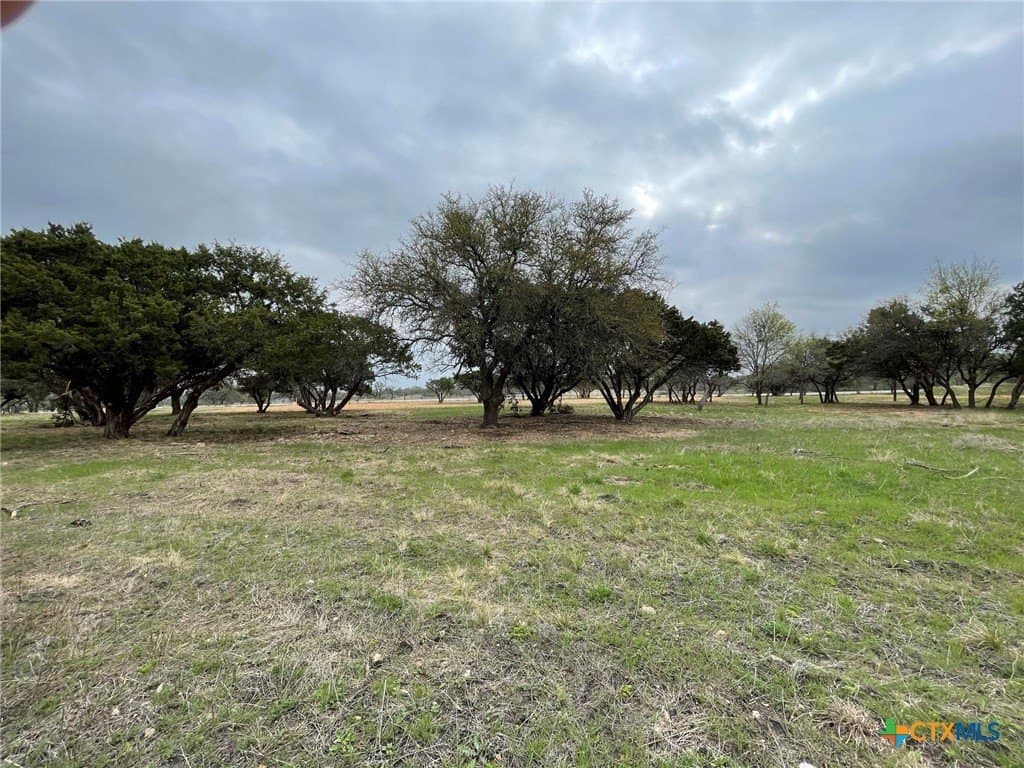 10.02 acres in Coryell County - photo 6