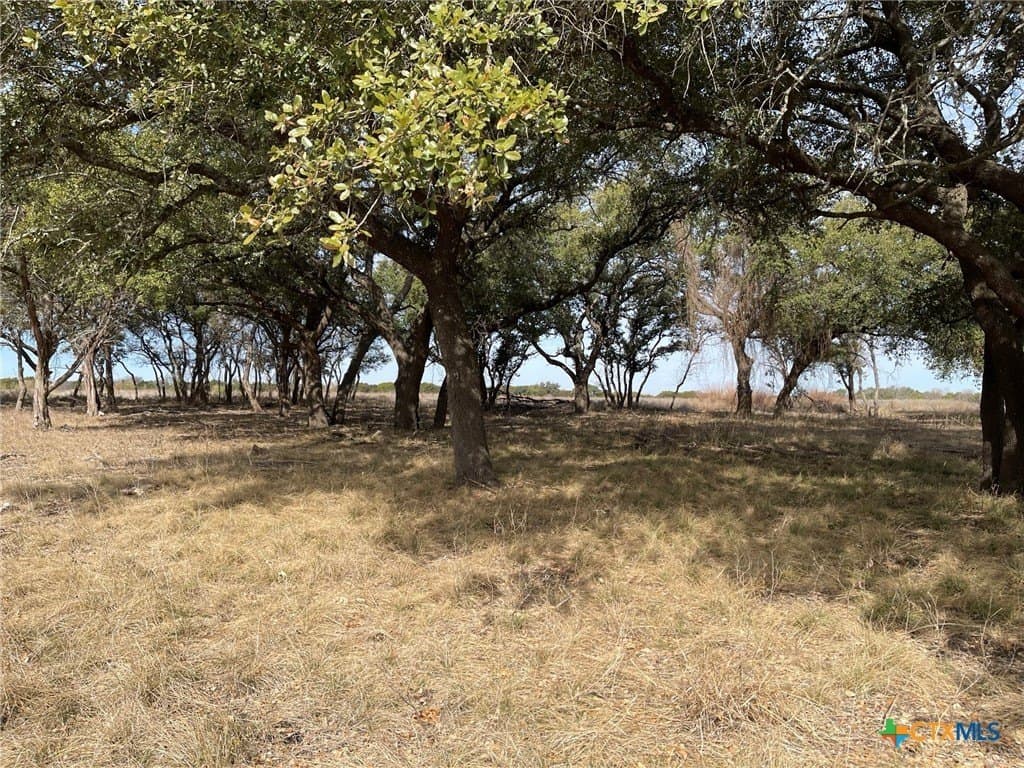 10.02 acres in Coryell County gallery image 3