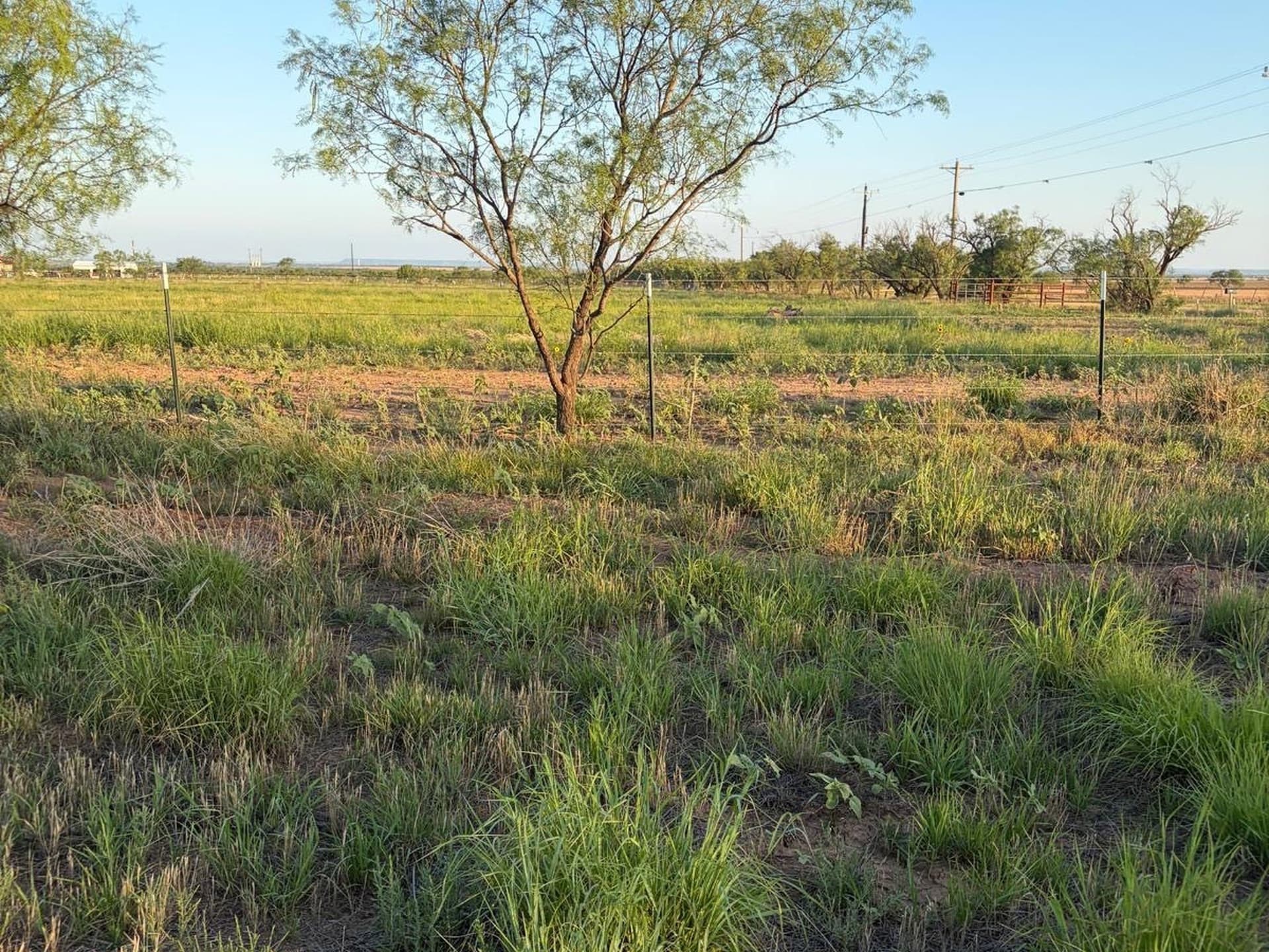 10.09 acres in Jones County - photo 14