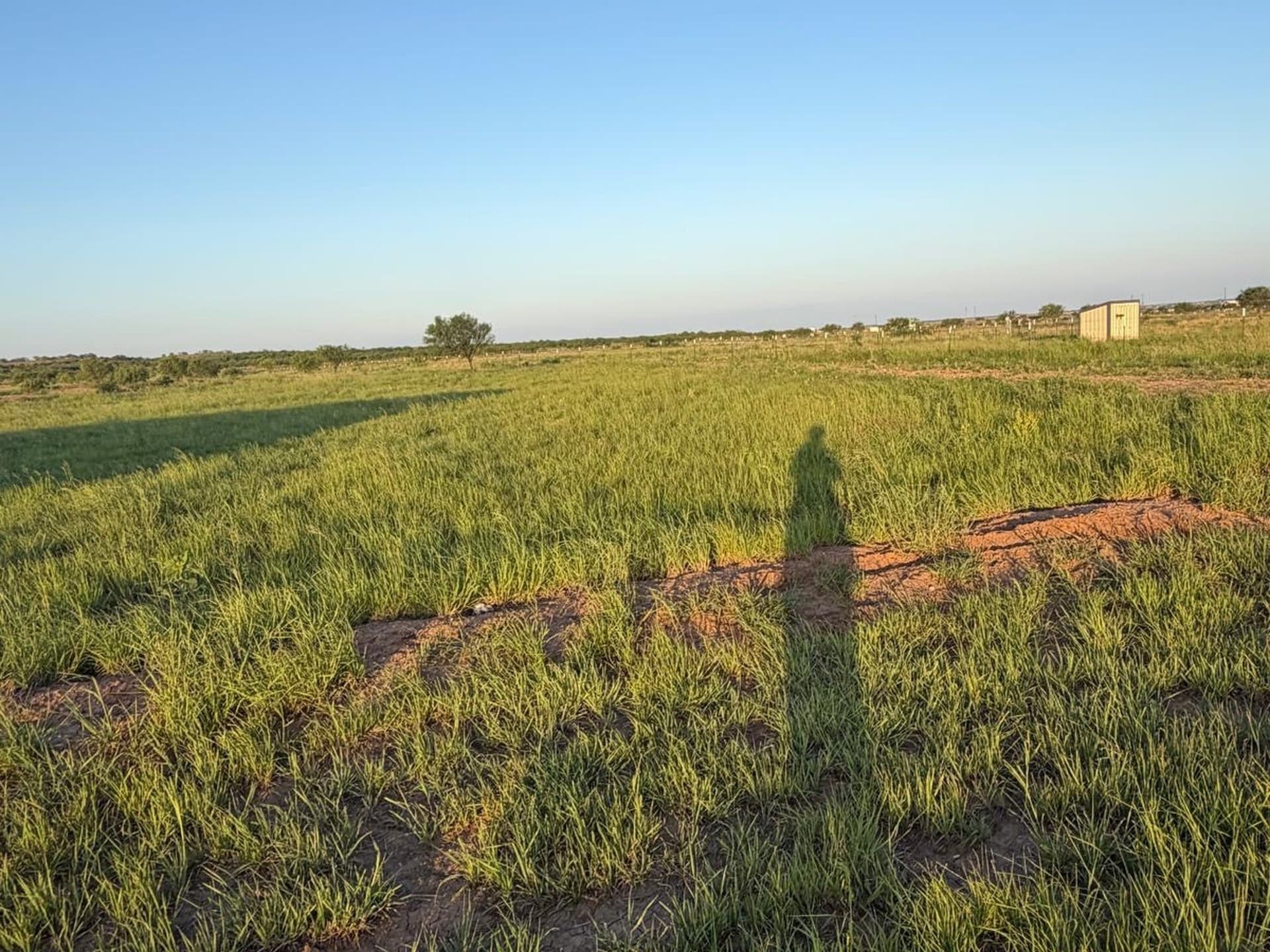 10.09 acres in Jones County - photo 12
