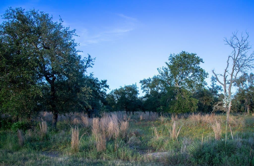 20.43 acres in Gillespie County gallery image 2