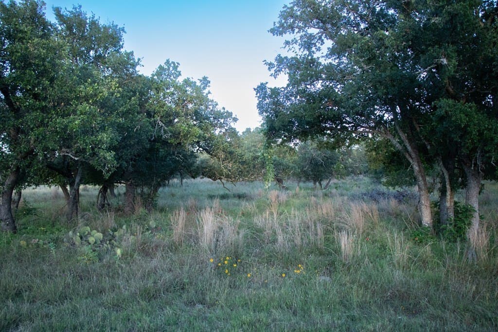 20.43 acres in Gillespie County gallery image 4
