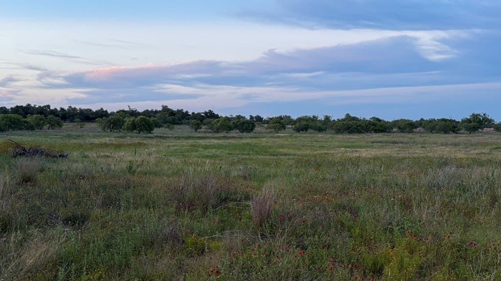 20.43 acres in Gillespie County - photo 14