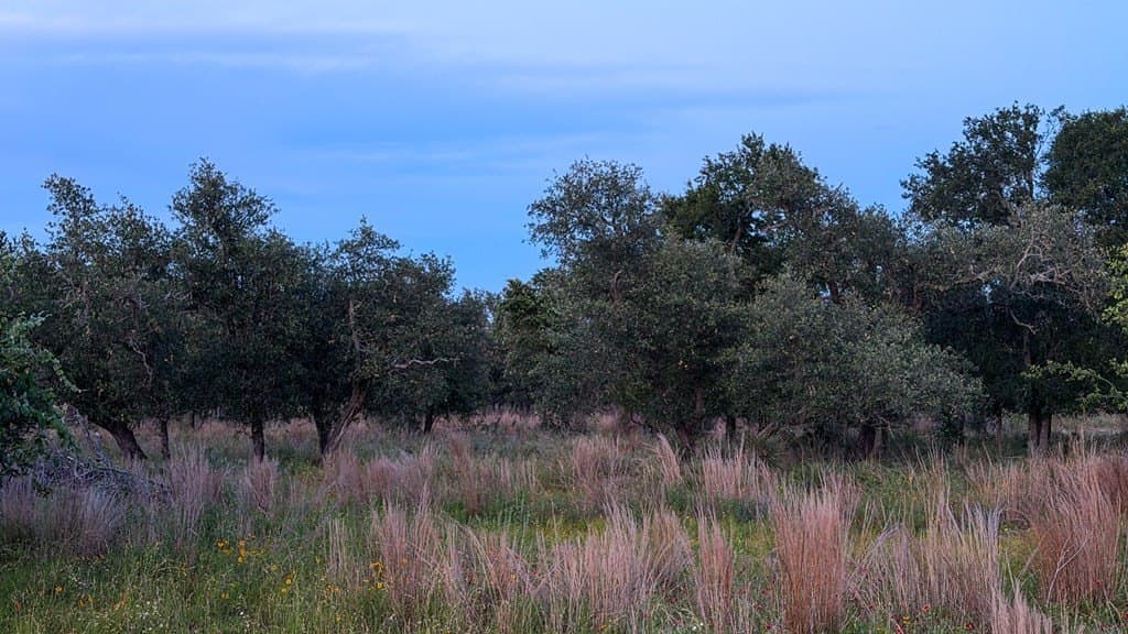 20.43 acres in Gillespie County - photo 16