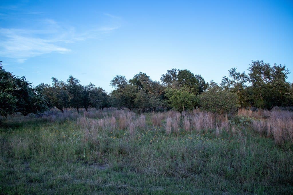 20.43 acres in Gillespie County gallery image 3