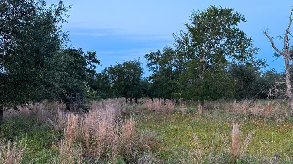 20.43 acres in Gillespie County - photo 15