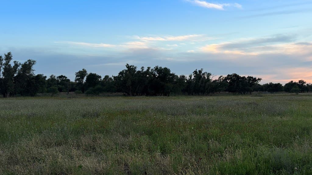 20.43 acres in Gillespie County - photo 8