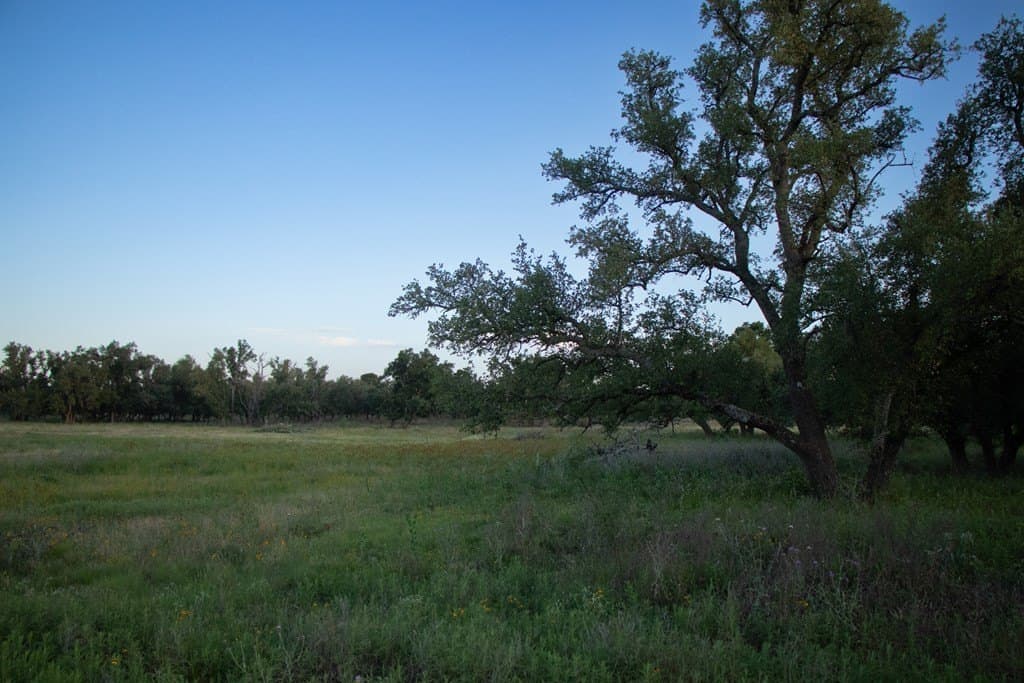 20.43 acres in Gillespie County - photo 6