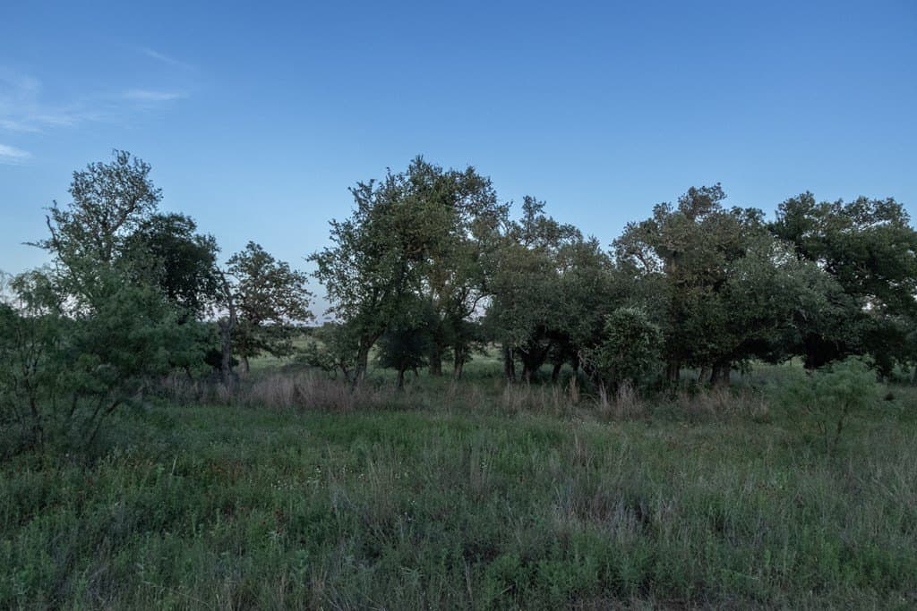 20.43 acres in Gillespie County featured view