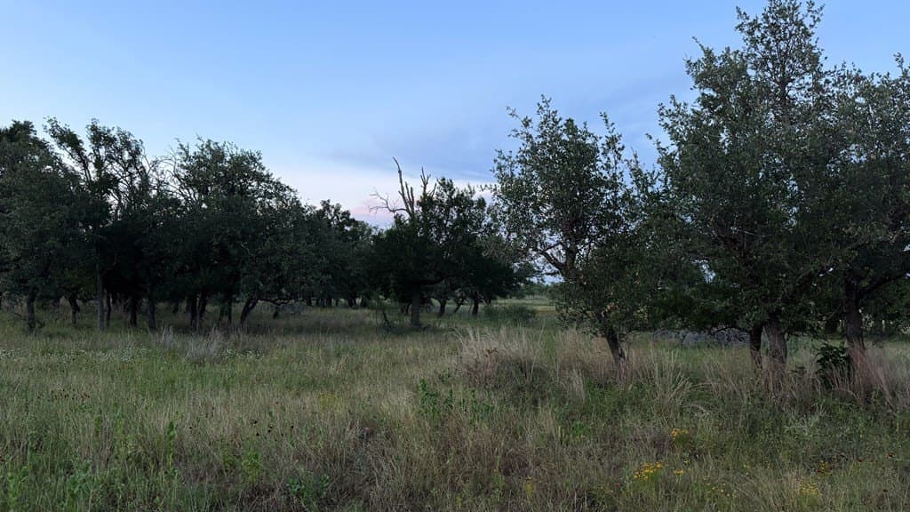 20.43 acres in Gillespie County - photo 13