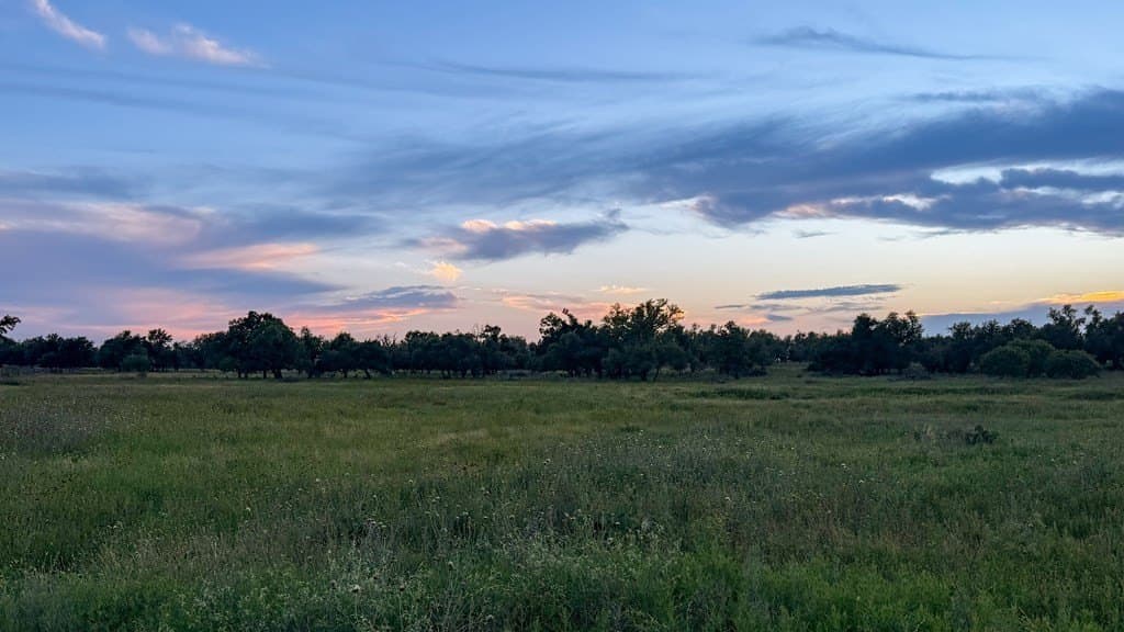 20.43 acres in Gillespie County - photo 7