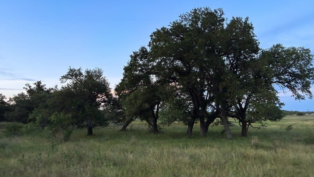 20.43 acres in Gillespie County - photo 12