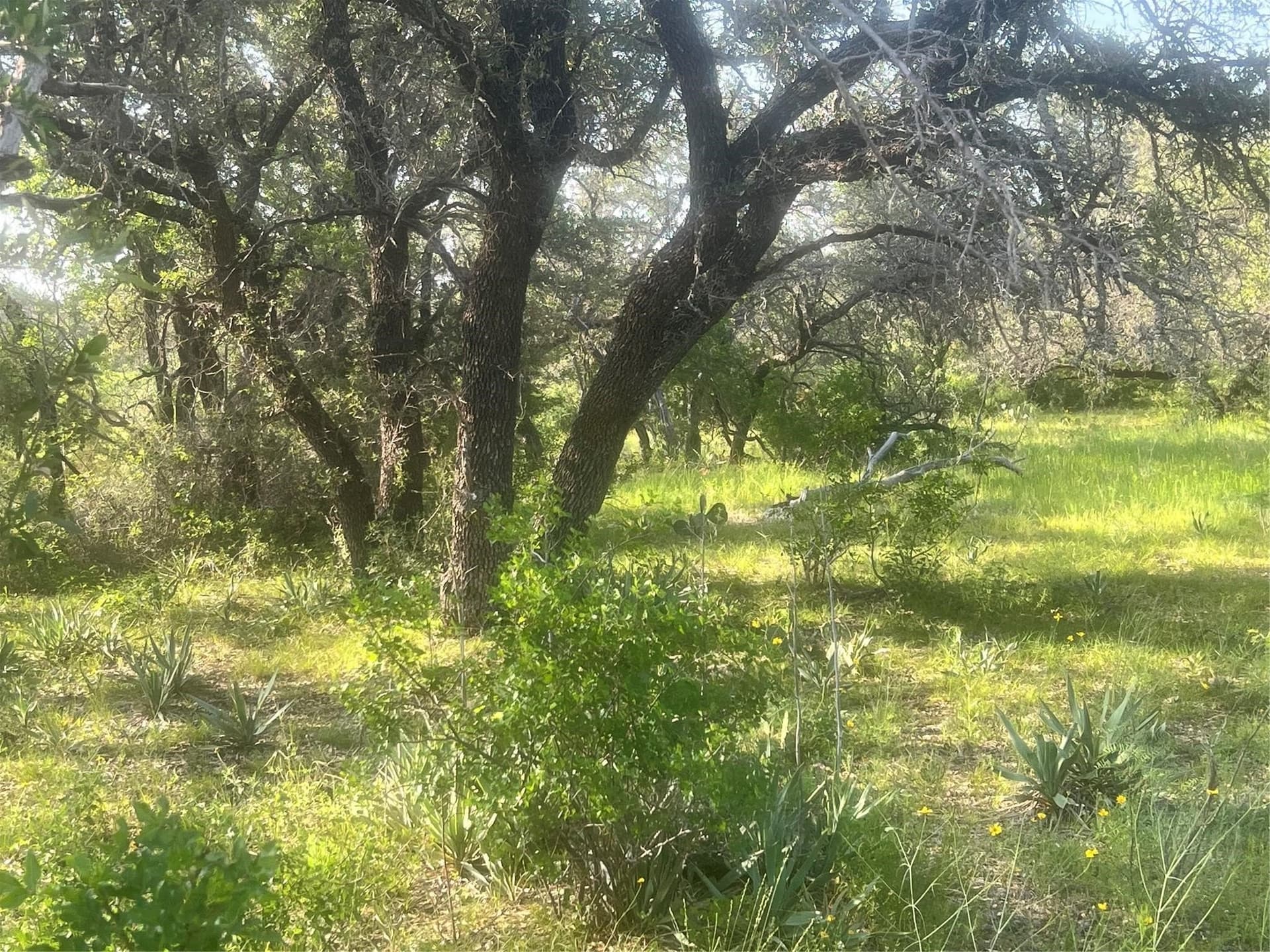 16 acres in Comanche County - photo 35