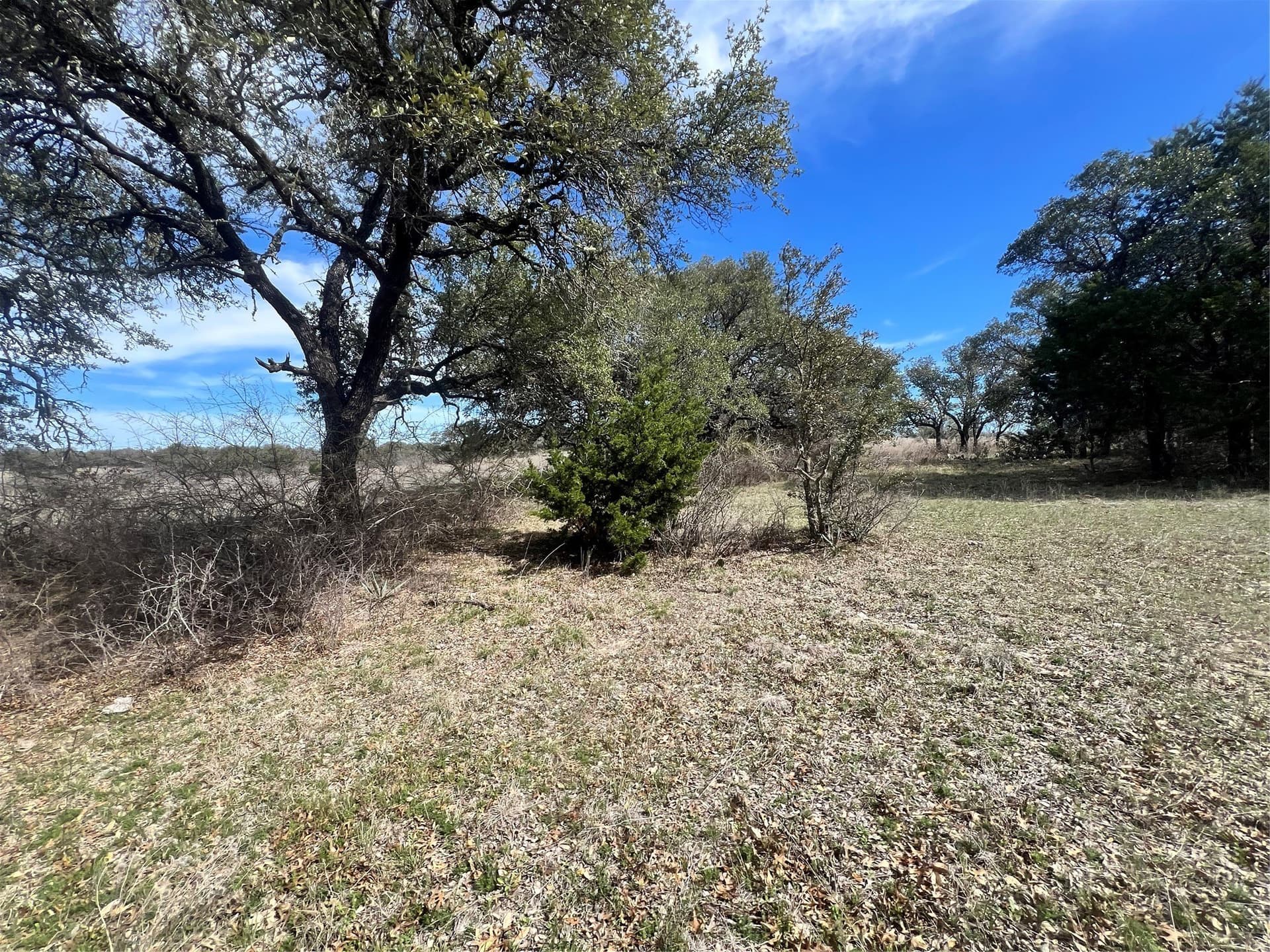 16 acres in Comanche County - photo 14