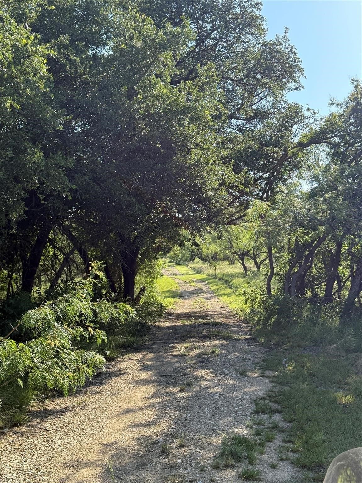 16 acres in Comanche County - photo 33