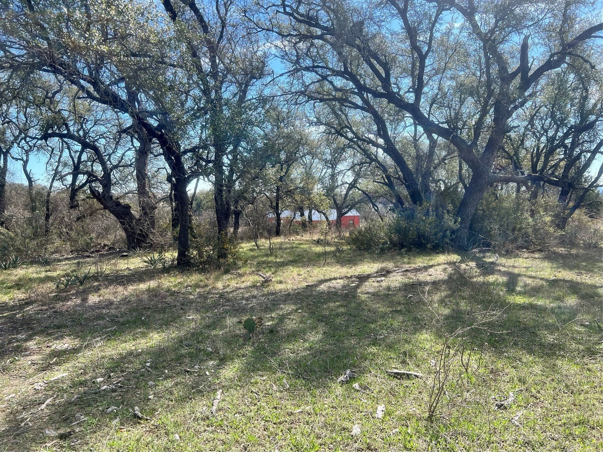 16 acres in Comanche County - photo 15