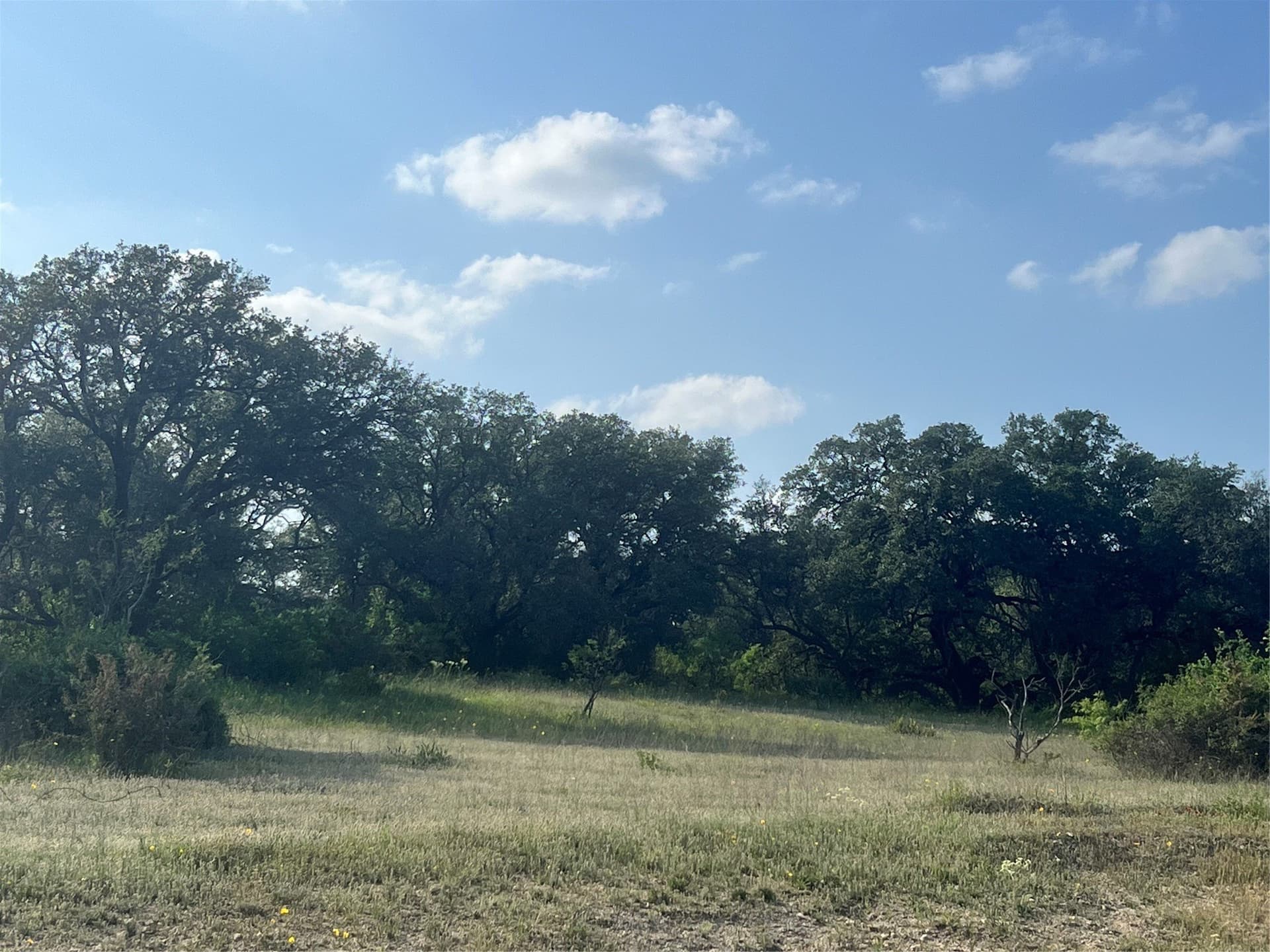 16 acres in Comanche County - photo 3