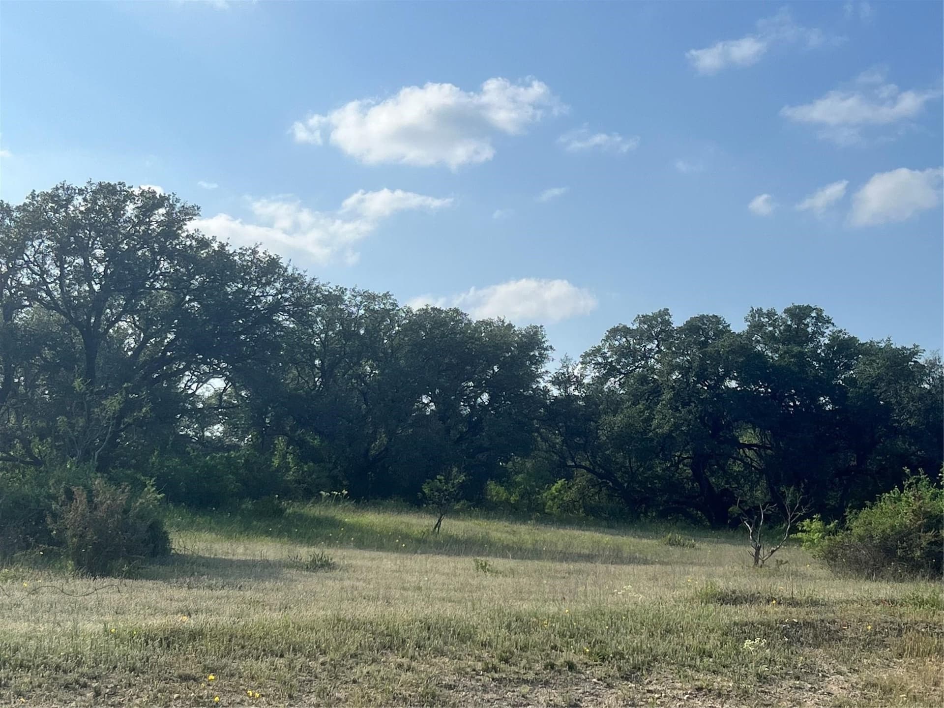 16 acres in Comanche County - photo 37