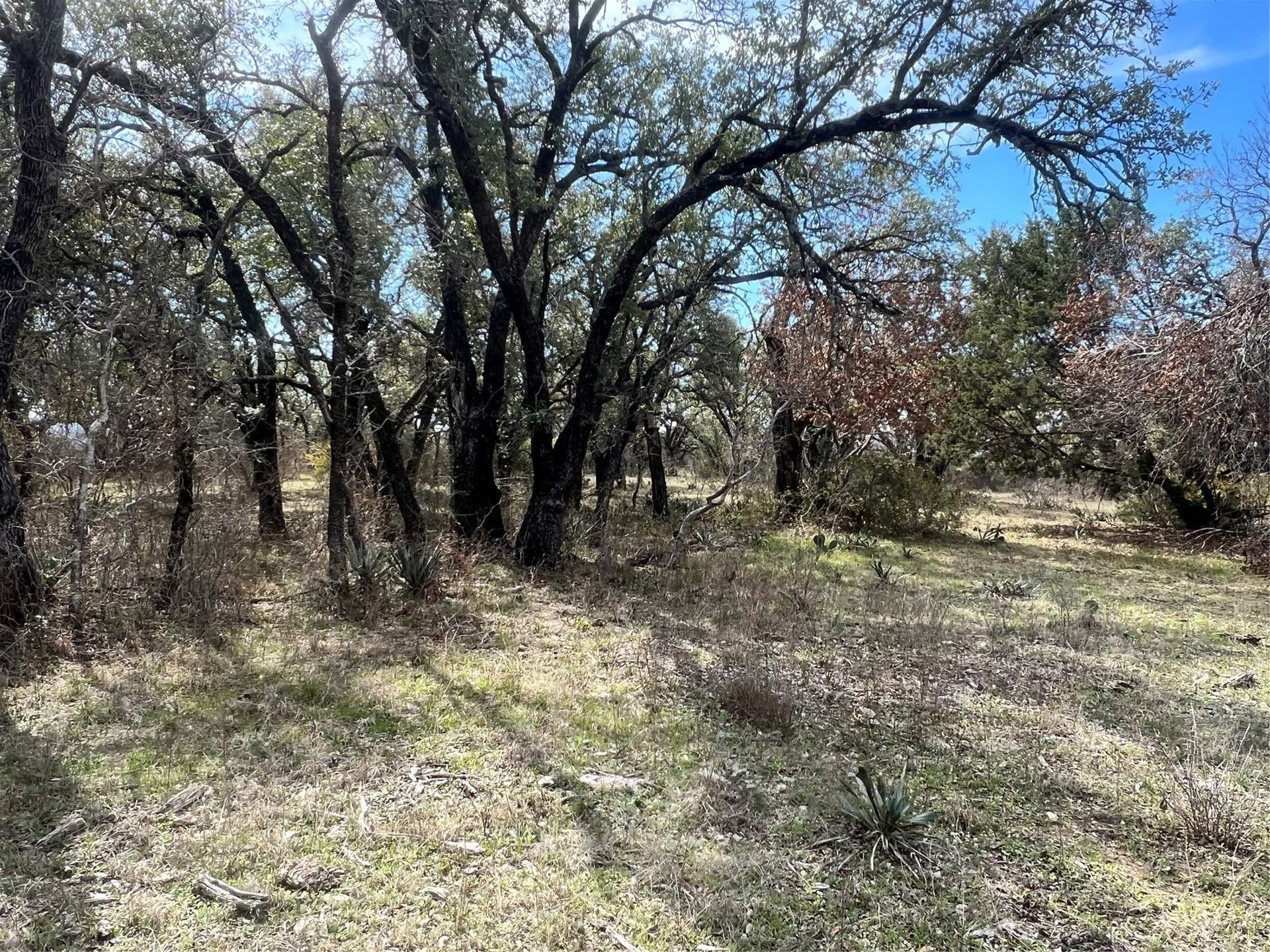 16 acres in Comanche County - photo 13