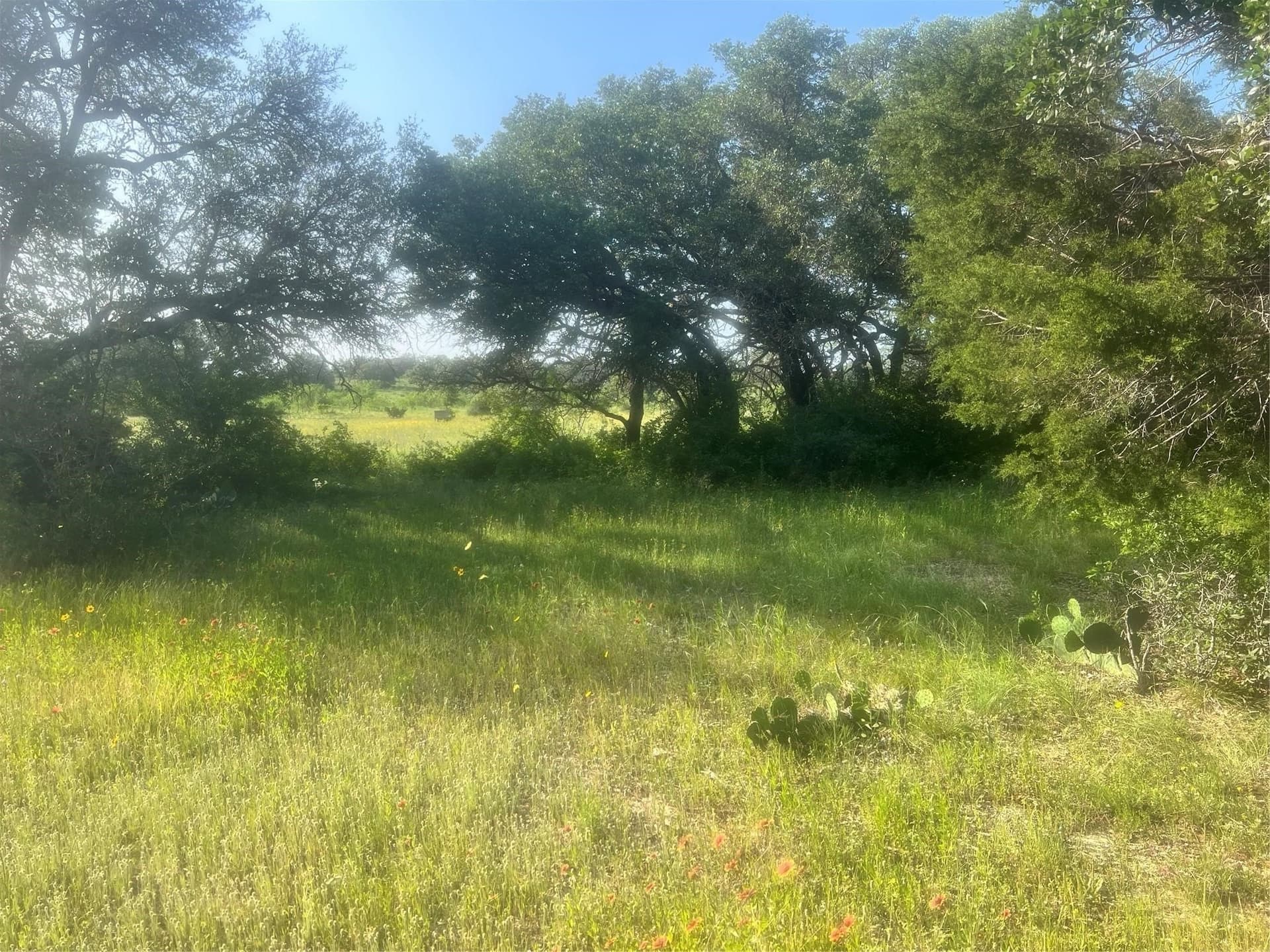 16 acres in Comanche County - photo 36