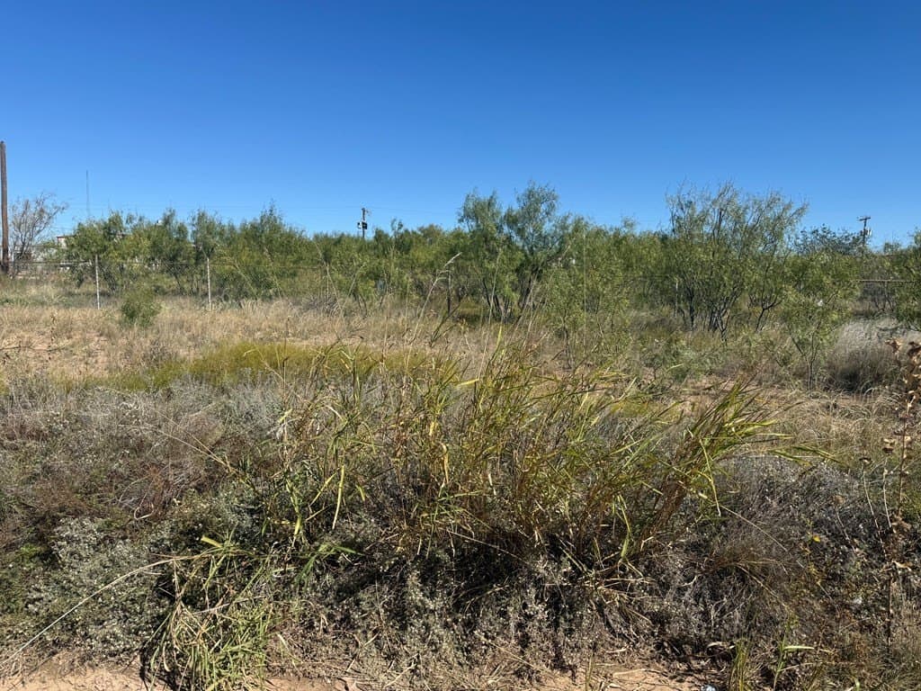 0.97 acres in Scurry County gallery image 2