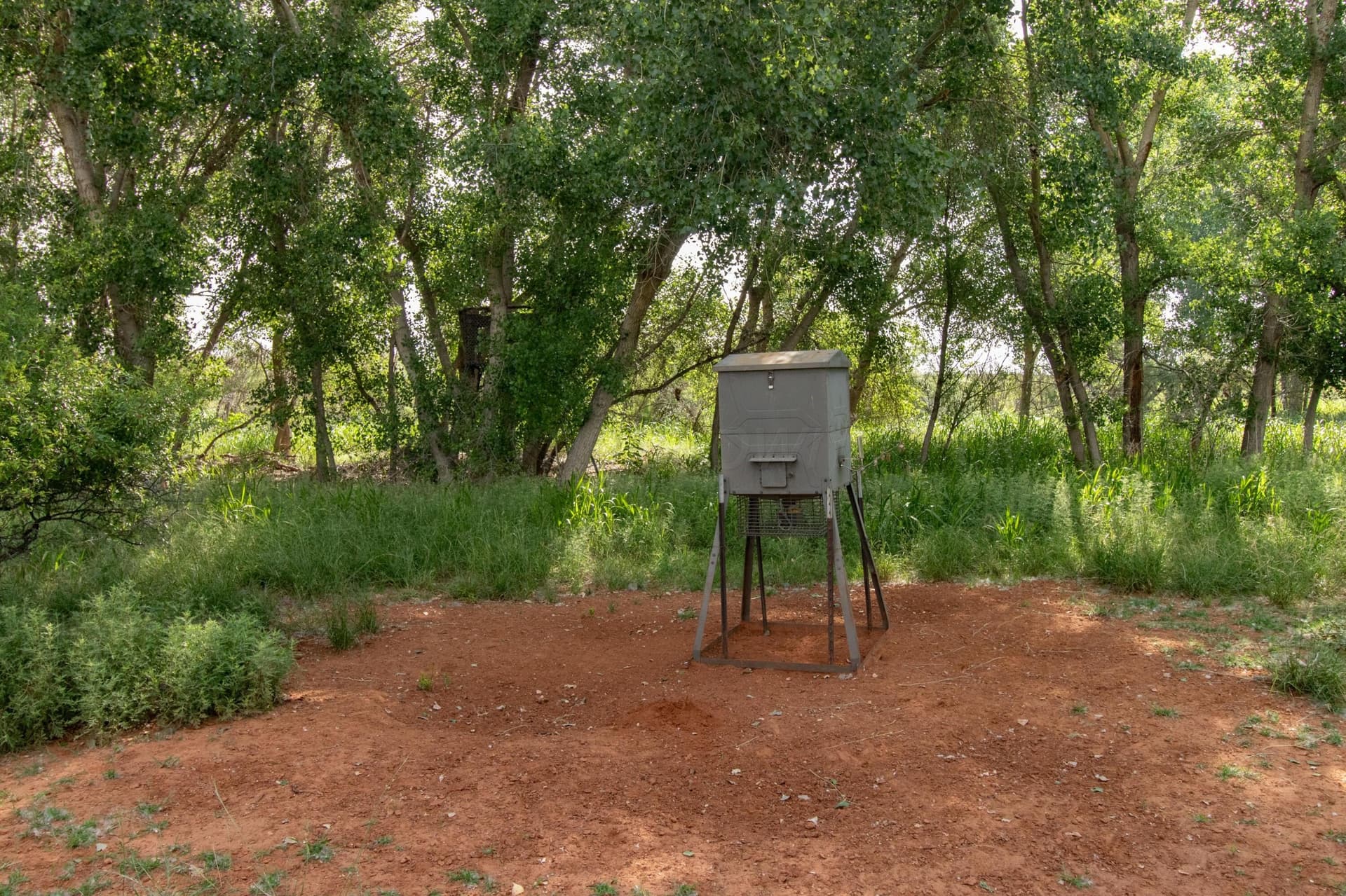 160 acres in Hall County featured view