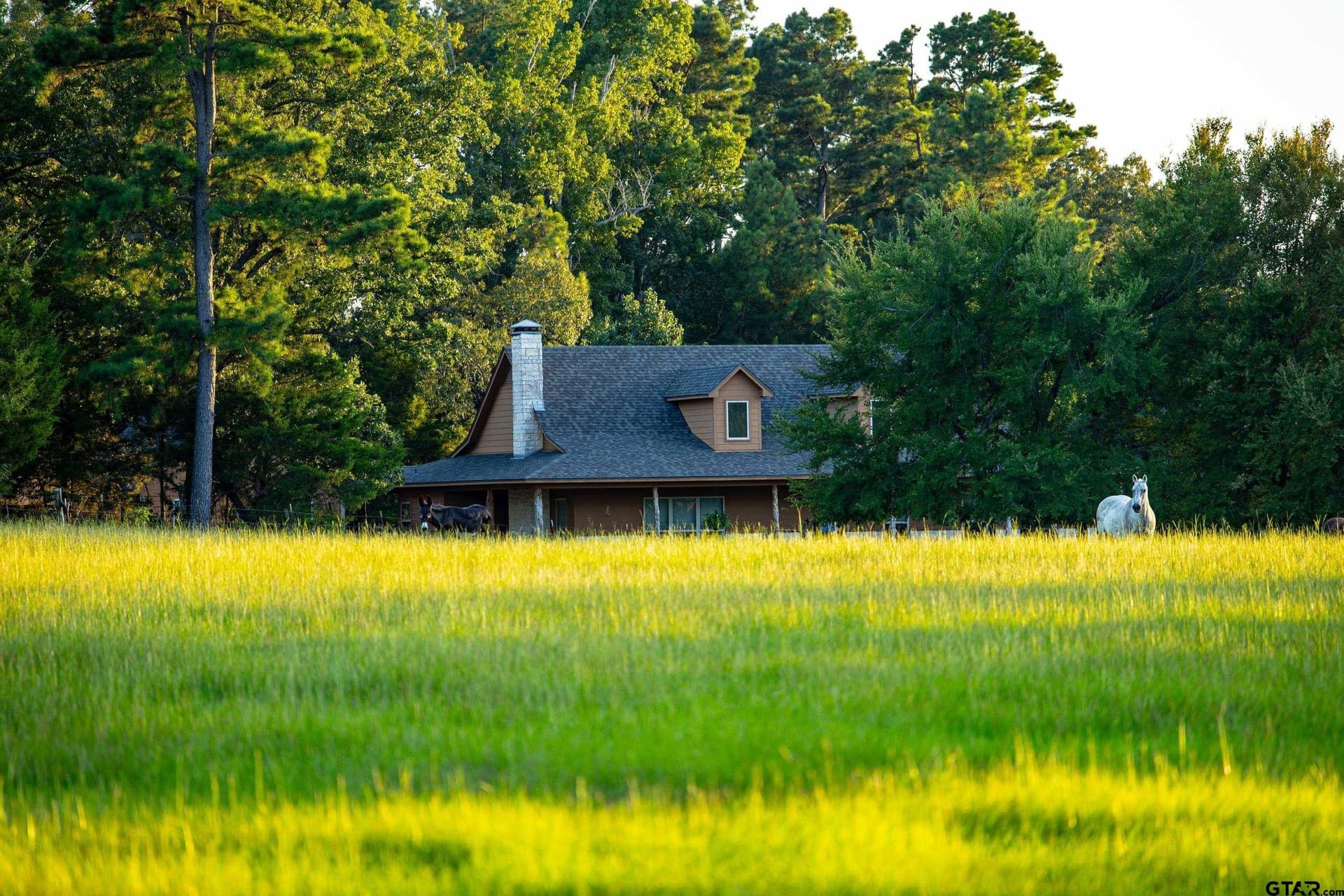 40.04 acres in Henderson County - photo 39