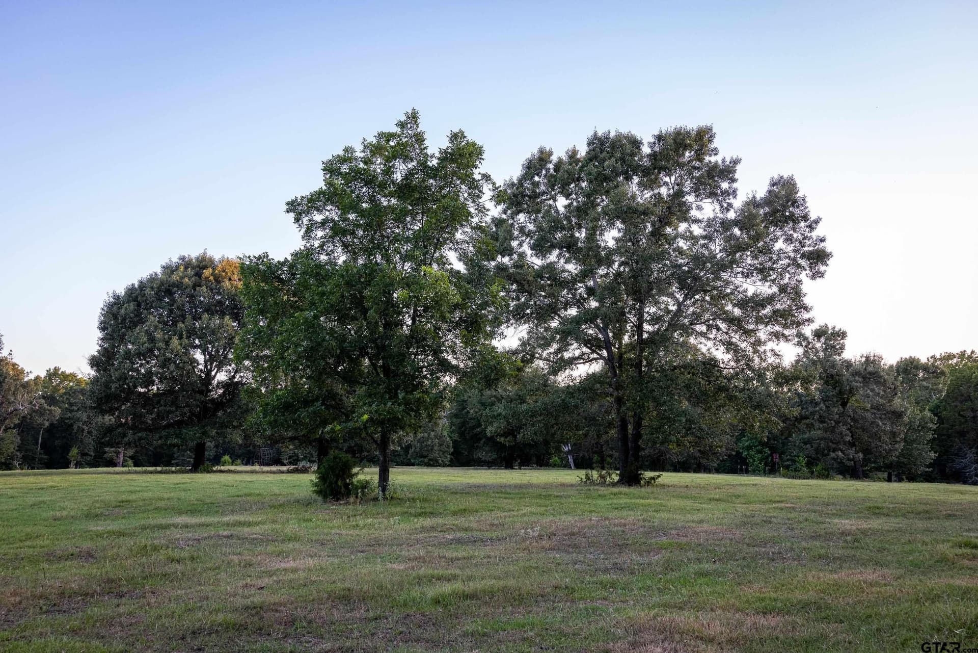 40.04 acres in Henderson County - photo 38