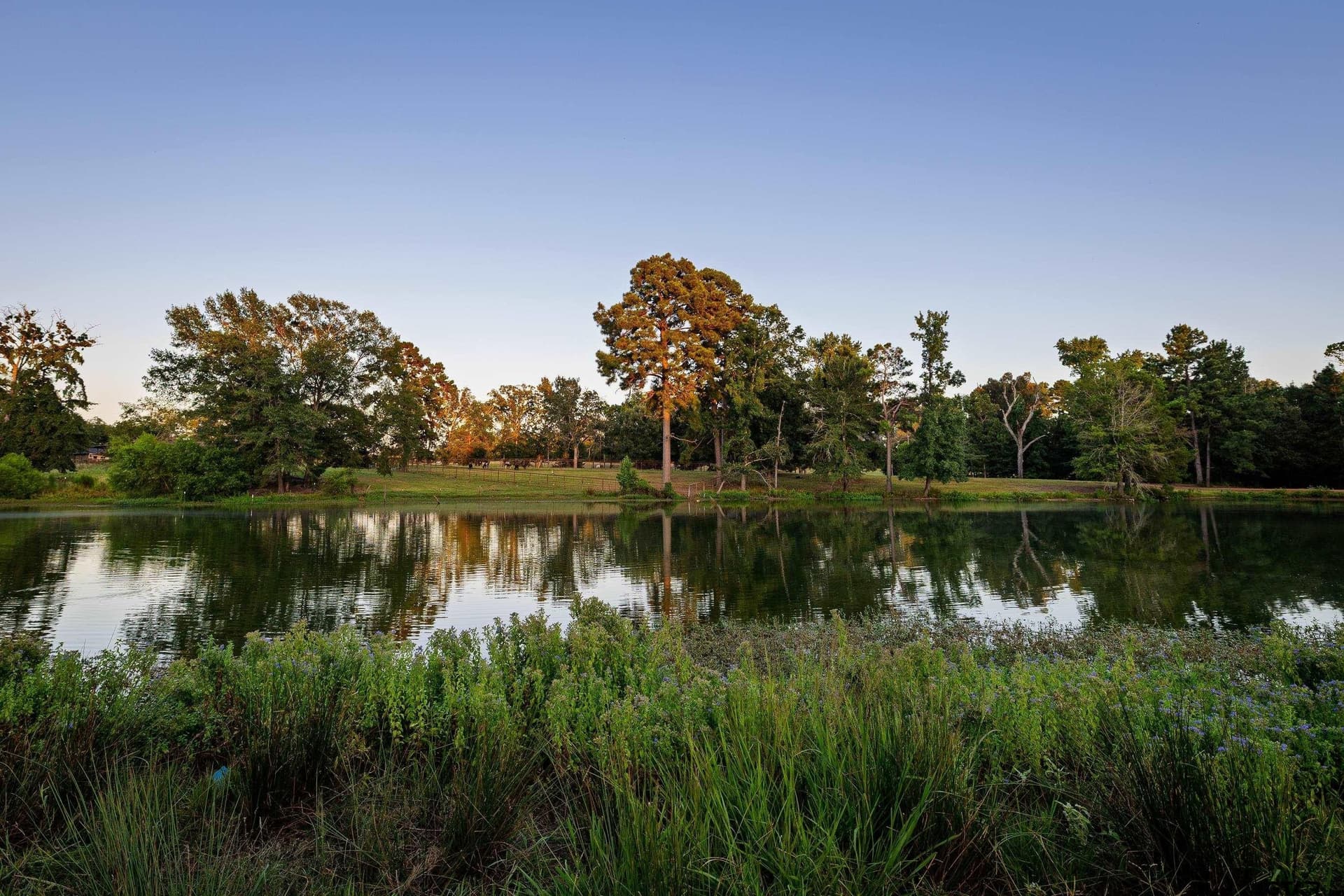 40.04 acres in Henderson County - photo 2