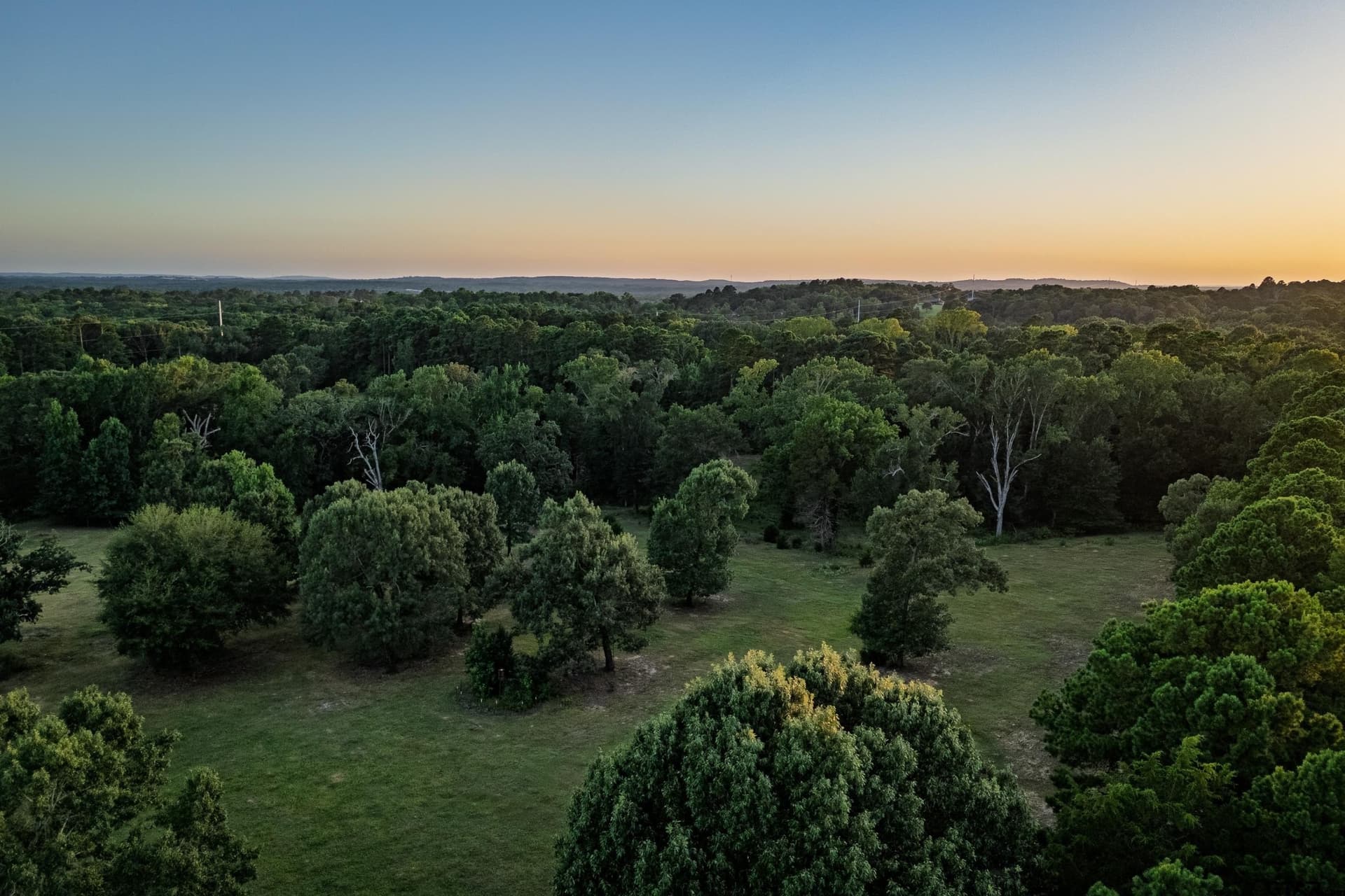 40.04 acres in Henderson County - photo 32