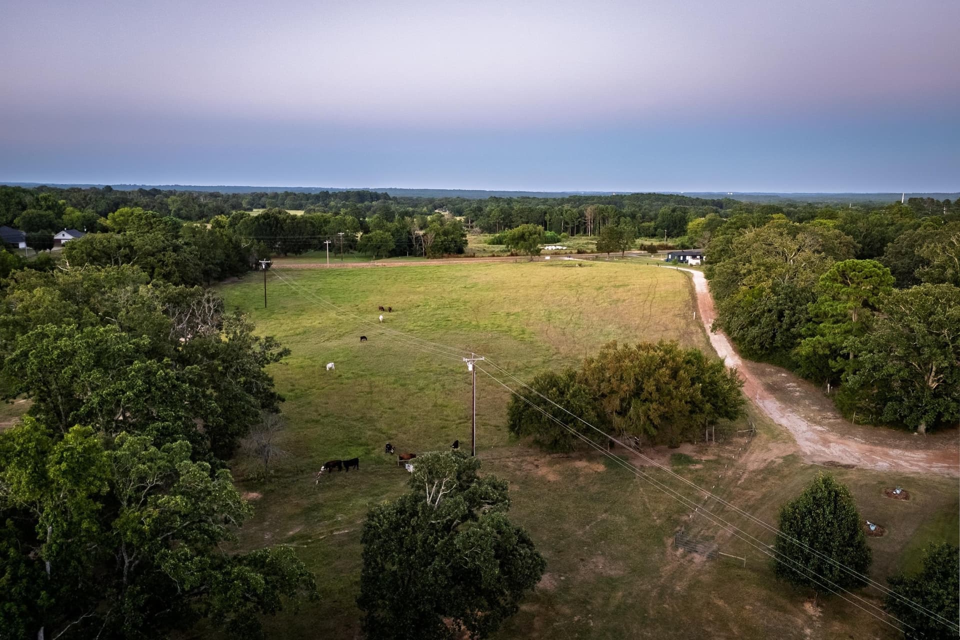40.04 acres in Henderson County - photo 23